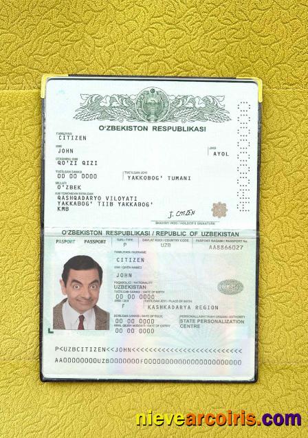 Uzbekistan pass photolook